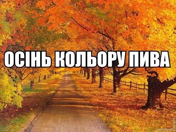 a6mSc1ssNc8.webp