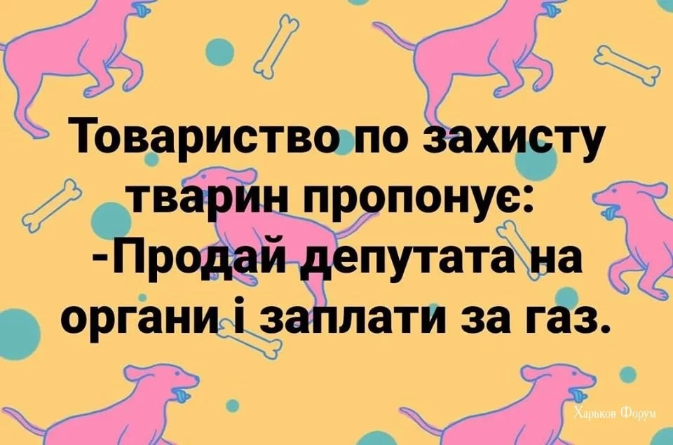 a70f3f514ecc6e2de3909.webp