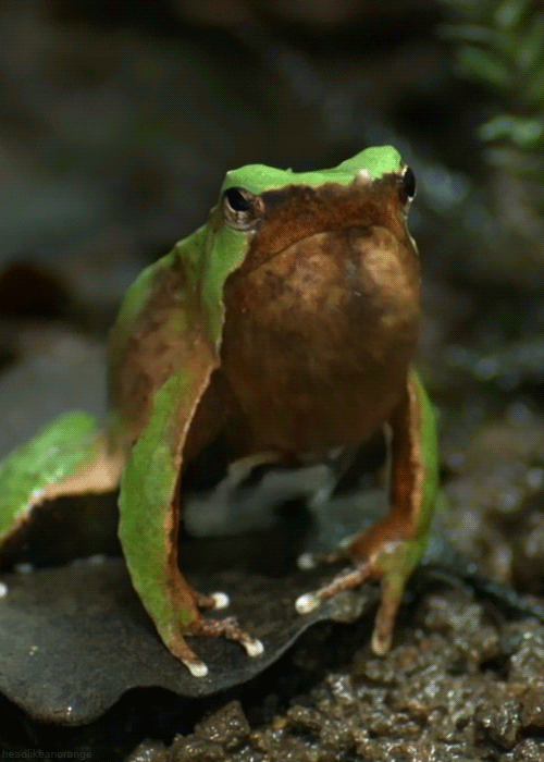 a719d89d04e9ee1b2845345b57437931.gif