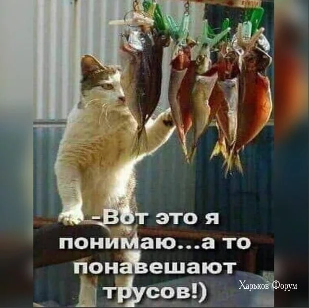 a72ee794c113b903d22c62f.webp