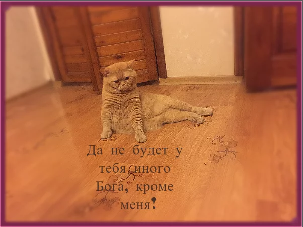 a739af163d77f41e8ba709d822902136.webp