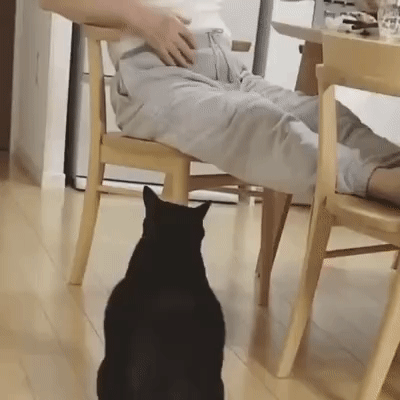 a748871f820d6775d70f.gif