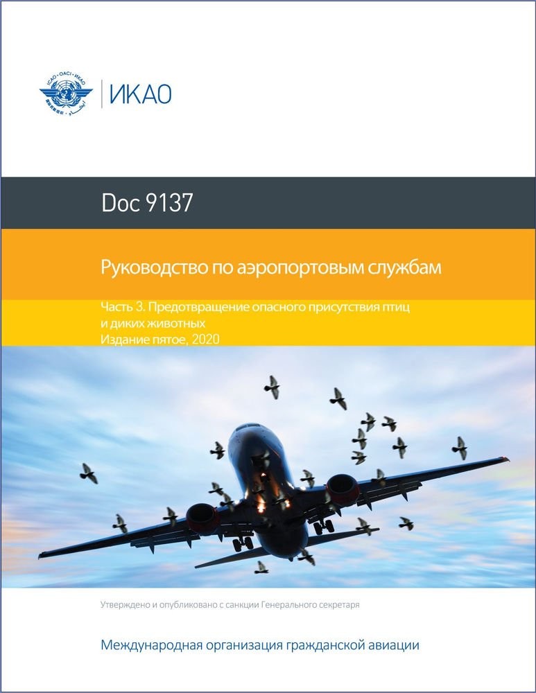 a75261cd32bf199340cf.jpg