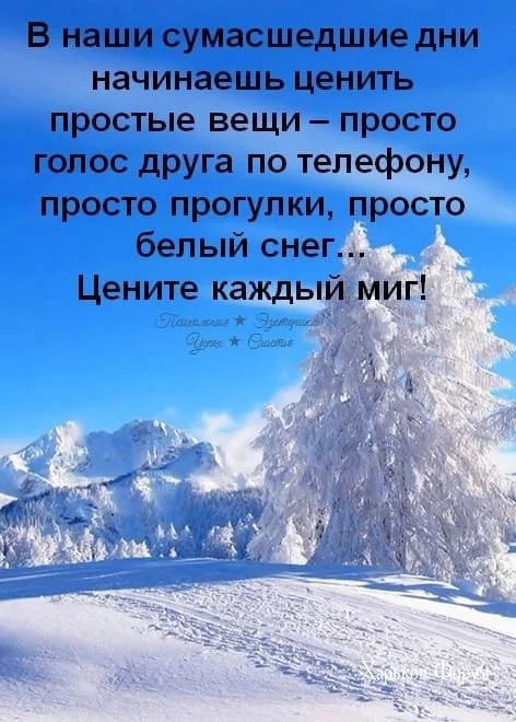 a7579bec4b520621.webp