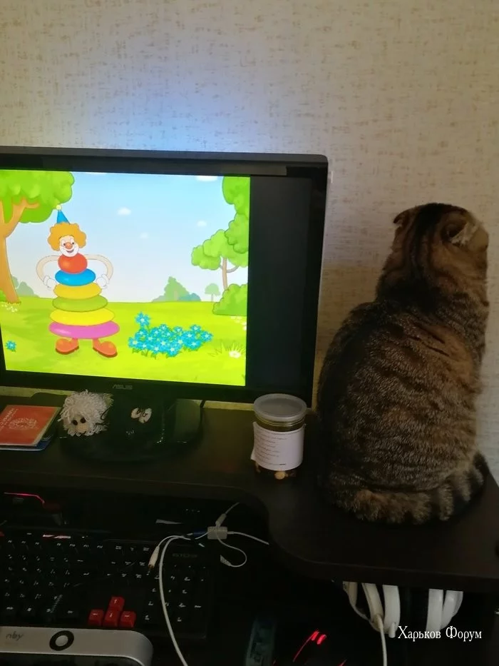 a77d2d4c27f4a2b87703f44.webp