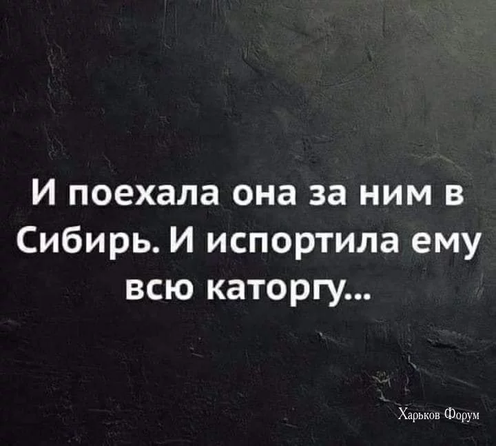 a78dd14ed0a62bd37.webp