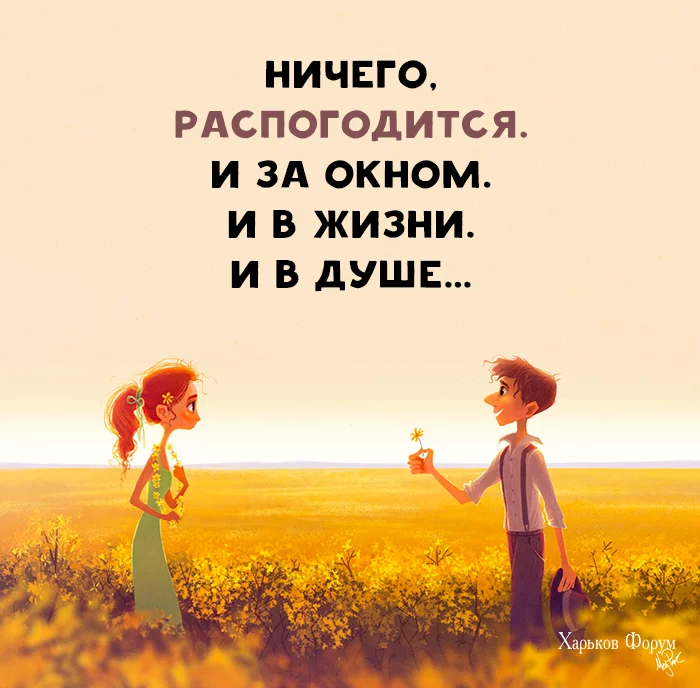 a7a236f0dd34a3ef9ba60.webp