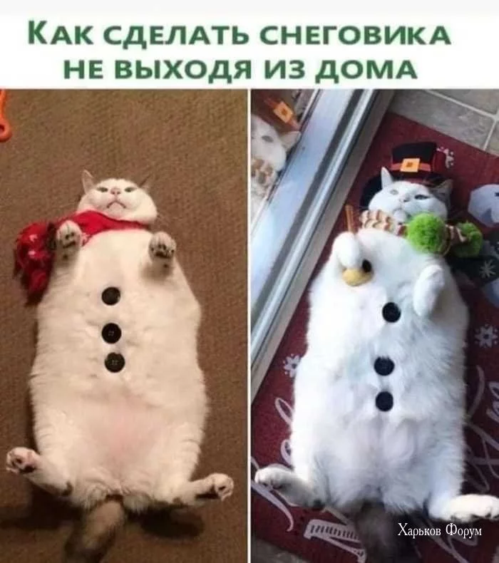 a7a98b13753ef86e652c0b.webp