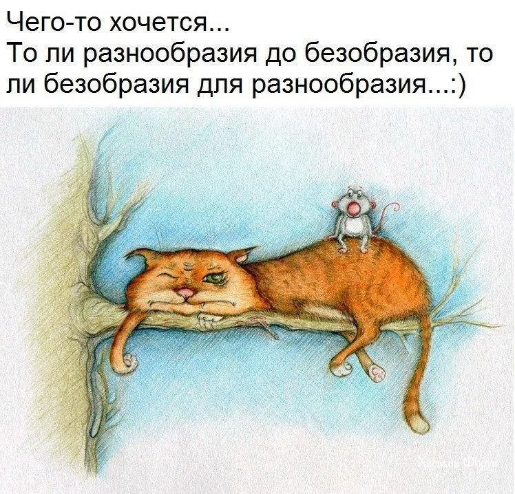 a7c81e6ded272304.webp