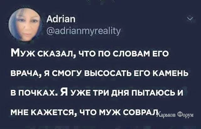 a7cdd8c8dc6fb691bd06791.webp