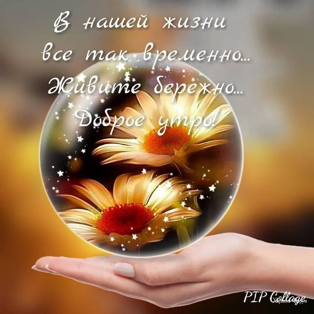 a7d45c28c31a2dc23d26.webp