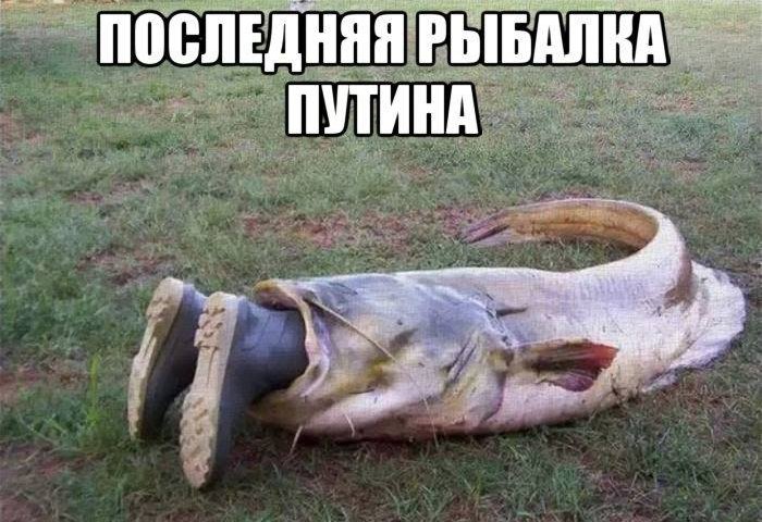 a7dcej.jpg