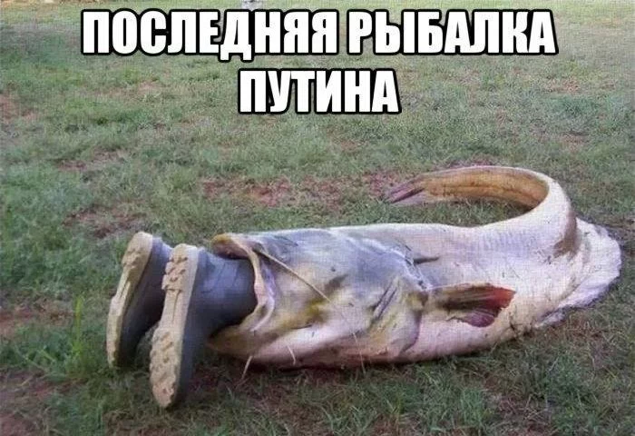 a7dcej.webp