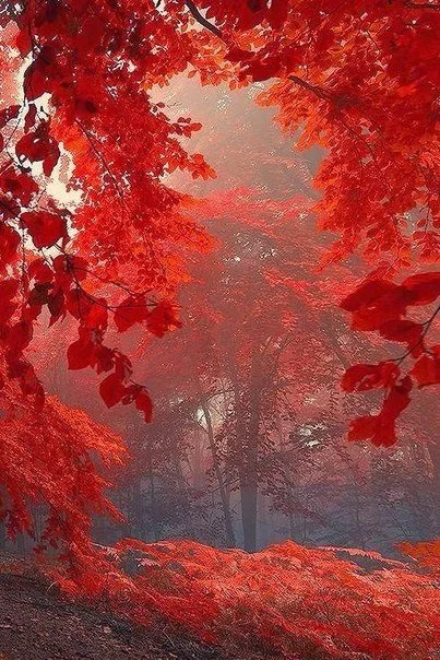 a7gaeg.webp