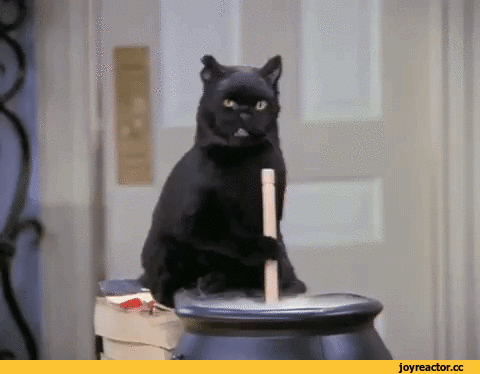 a813e90ff04deb28d2ffd56.gif
