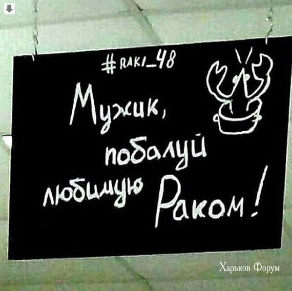 a8156e0d9ae8990cca363d.png