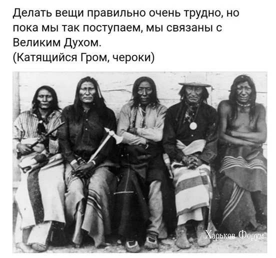 a82f9ac3be28237ceee537c5.webp
