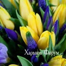a84d7391fd94f7812ce.webp