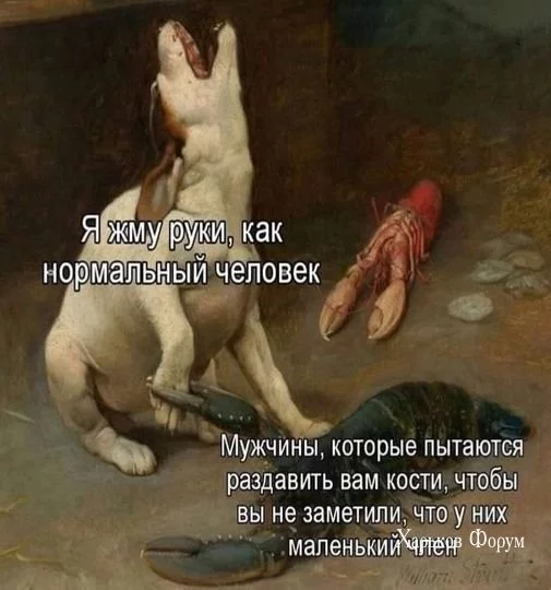 a863bf134f02f7812bad57.webp