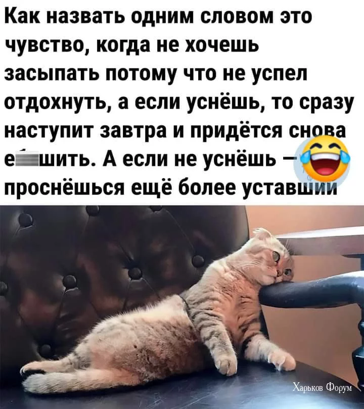 a87ea095290e7cf6d63ca6.webp