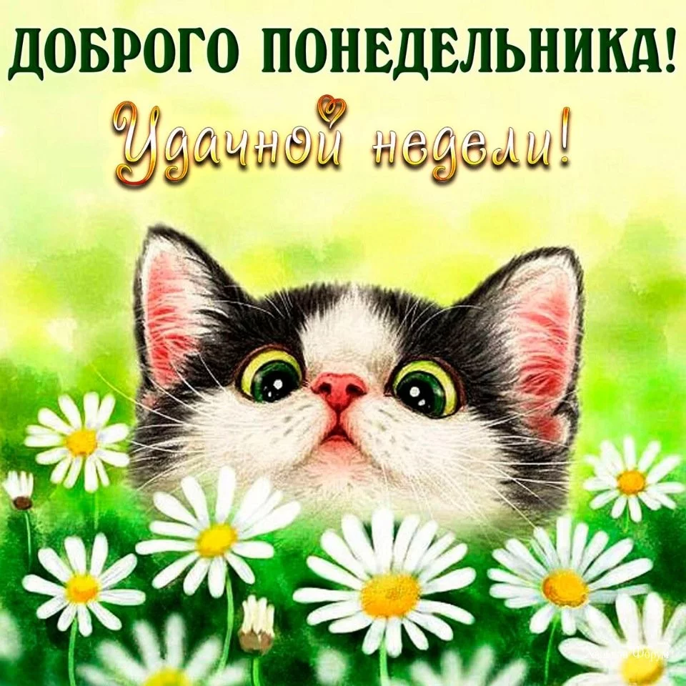 a88540229f89d29c4a406.webp