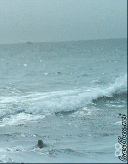 a886dac9d9a840df9ff7aa52fb5bdf09.GIF.gif?zoom=2.gif