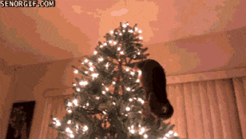 a8918a55fd57c6d330f21c6.gif