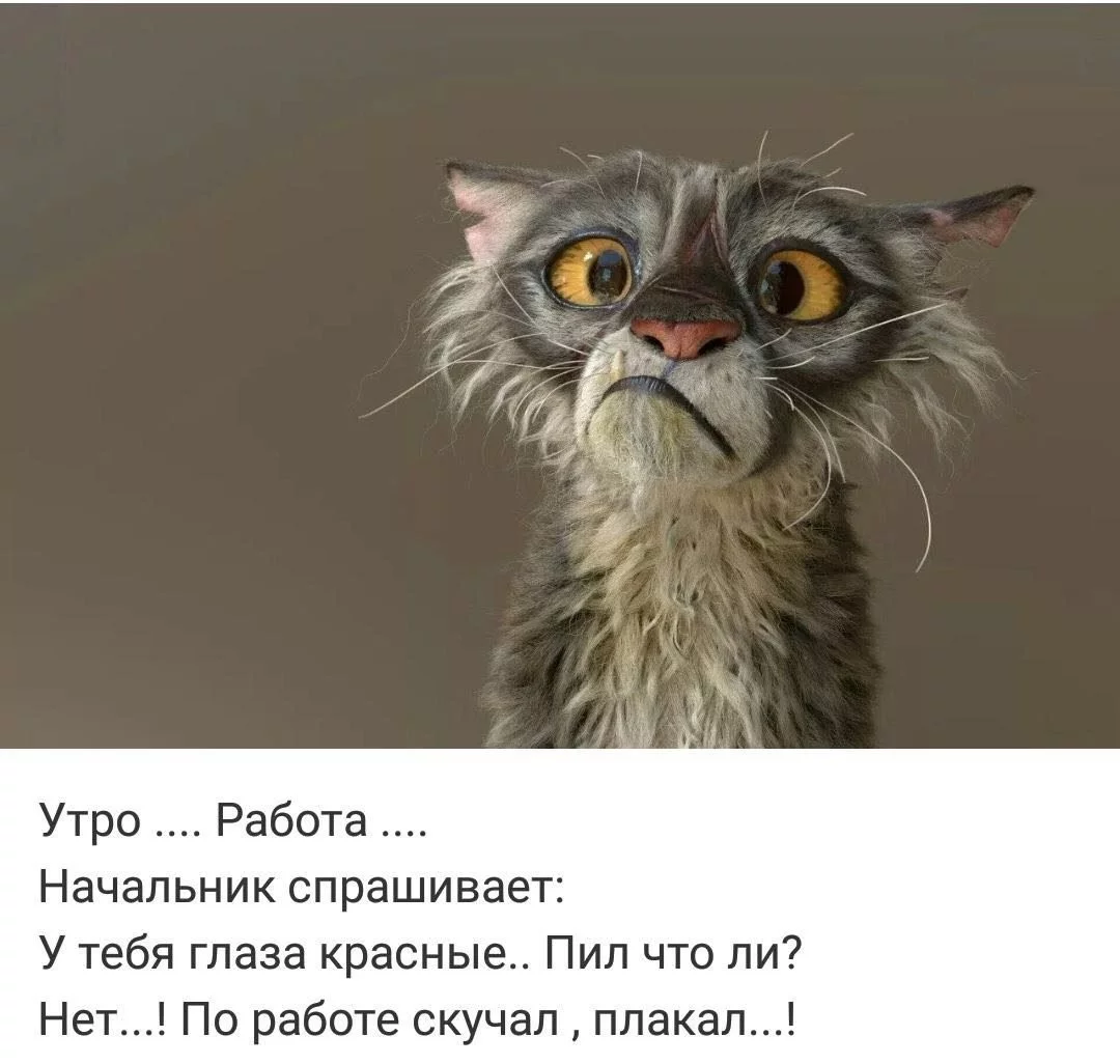 a89bfb7016d21ad6bdf59a.webp
