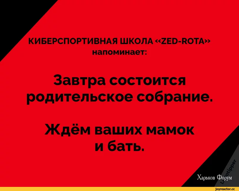 a8a6ce39628e2e9520.webp