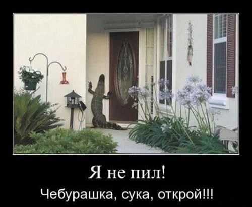 a8abcf.webp