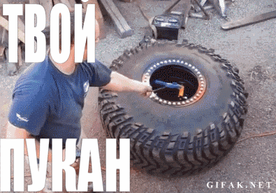 a8adhg.gif