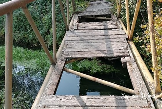 a8b333d71d62781f.jpg