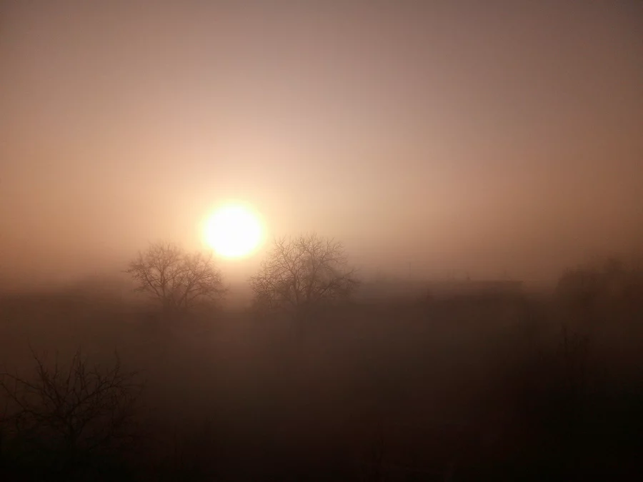 a8cadg.webp