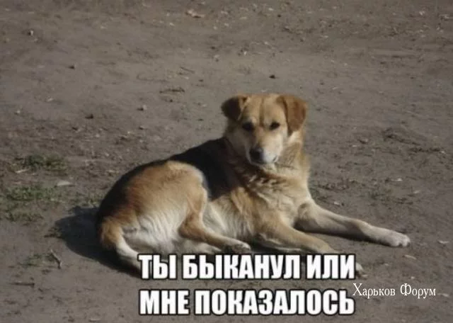 a8d05d3538e261904a75.webp