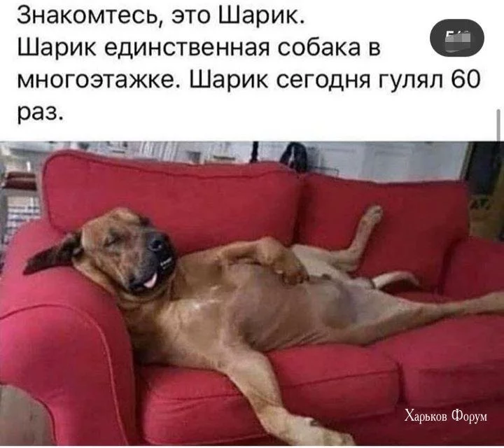 a8d6fdb793c48a66c4ac73e.webp