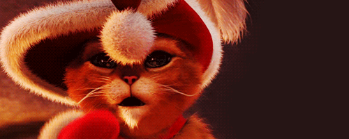 a8de3204fd5e08c498.gif