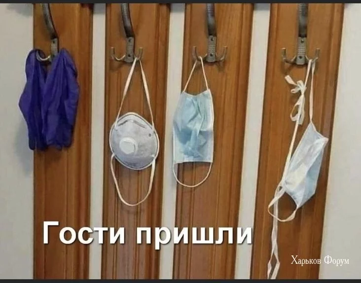 a8e90e8765eb6c62e9a3ee.webp