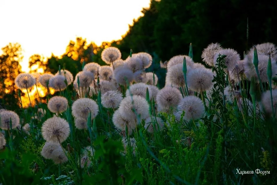 a8e94d90ced1af30992.webp