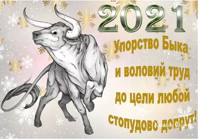 a8ecc75ce911ba53b0.webp