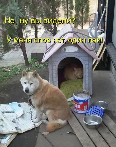a8ffgb.webp