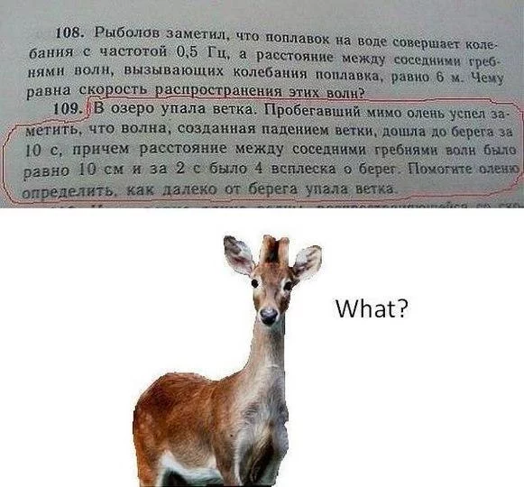 a8jjab.webp