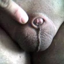 A8kCT_HpojNTiXbKYexCyYbh1cSOiJyUr10yh638ihsNUl&t=1.webp