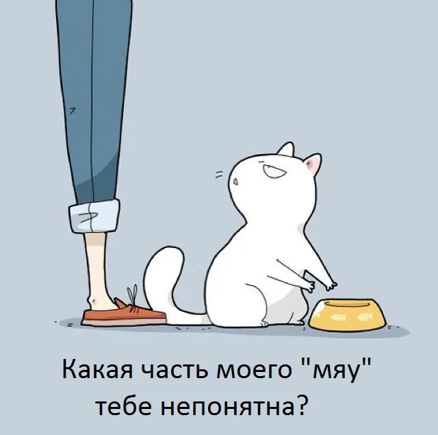 A8ZGltQUw_I.webp