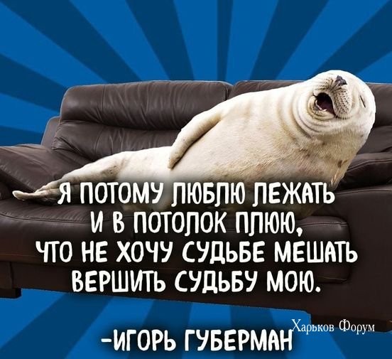 a90cabf8f4fc3af9bfaea.jpg