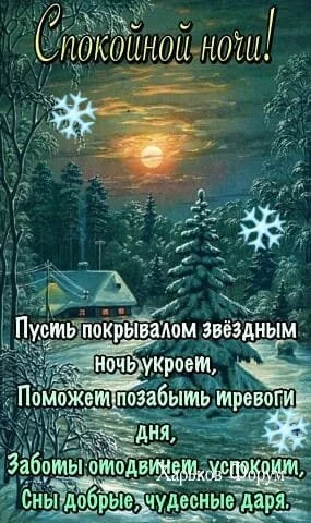 a924ffa8c4234533d.webp
