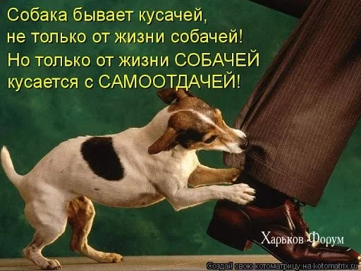 a92e829db7502043da.webp