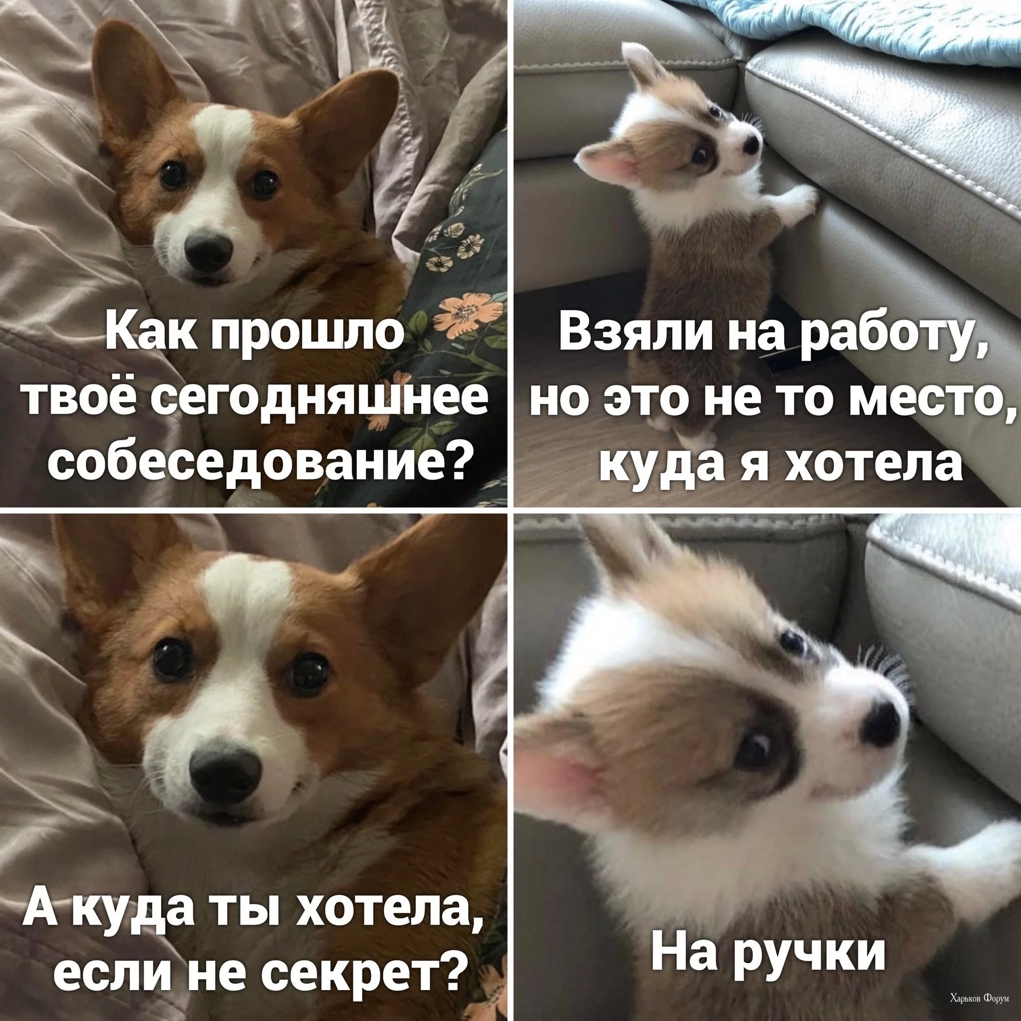 a92f9ef8a5c13f97a.webp