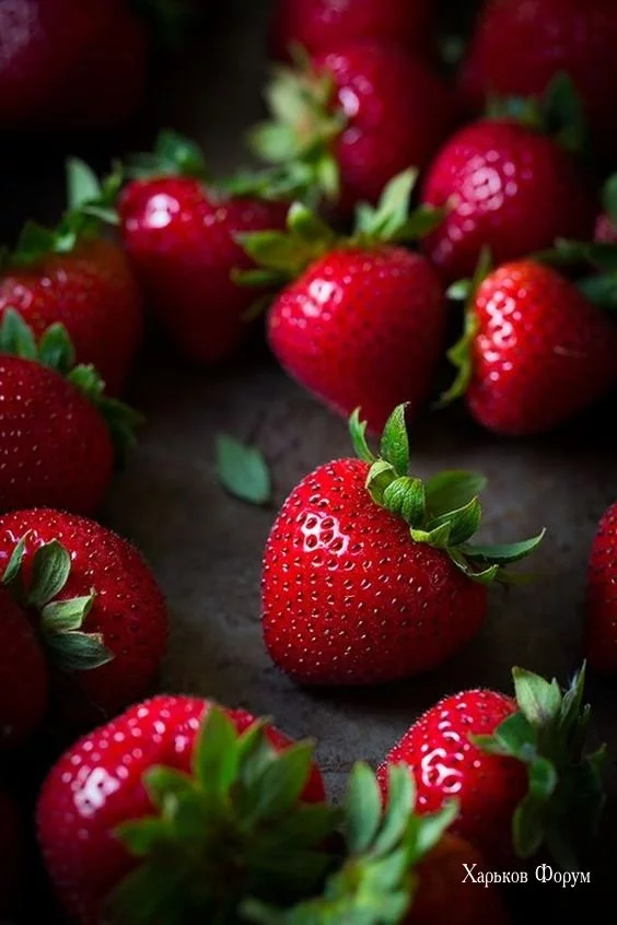 a93408fe9f38b950.webp