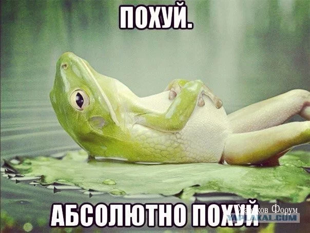 a9415338bf9ed97a9a732.webp