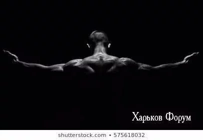 a941f4d062787916db4cb.webp